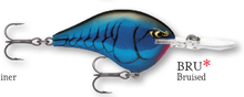 Load image into Gallery viewer, Rapala DT-10 Crankbait