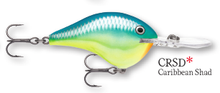 Load image into Gallery viewer, Rapala DT-4 Crankbait
