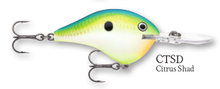 Load image into Gallery viewer, Rapala DT-4 Crankbait