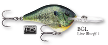 Load image into Gallery viewer, Rapala DT-8 Crankbait