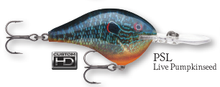 Load image into Gallery viewer, Rapala DT-6 Crankbait
