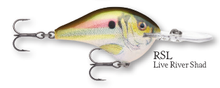 Load image into Gallery viewer, Rapala DT-10 Crankbait