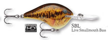 Load image into Gallery viewer, Rapala DT-10 Crankbait