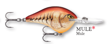 Load image into Gallery viewer, Rapala DT-10 Crankbait