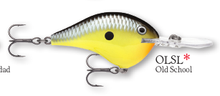 Load image into Gallery viewer, Rapala DT-10 Crankbait
