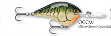 Load image into Gallery viewer, Rapala DT-10 Crankbait