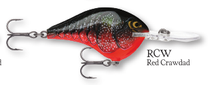 Load image into Gallery viewer, Rapala DT-10 Crankbait