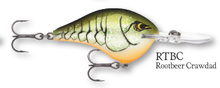 Load image into Gallery viewer, Rapala DT-10 Crankbait
