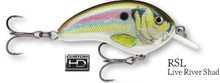 Load image into Gallery viewer, Rapala Ott's Garage Tiny 4 Crankbait