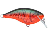 Load image into Gallery viewer, Rapala Ott's Garage OG Rocco 5 Crankbait