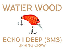 Load image into Gallery viewer, Water Wood Echo 1 Deep (E1D) Crankbait Pro Packaging