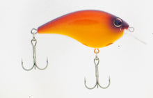 Load image into Gallery viewer, Berkley Frittside 5 Biggun