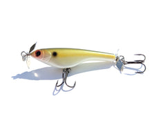 Load image into Gallery viewer, Jenko Fishing Shinobi Spybait