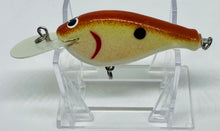 Load image into Gallery viewer, Southern Appalachian Lures V Series Crankbait