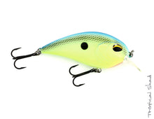 Load image into Gallery viewer, Jenko Fishing CD2 Squarebill Crankbait
