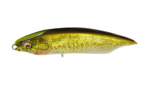 Load image into Gallery viewer, Megabass Karashi 80
