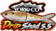 Load image into Gallery viewer, York Co Glide Baits
