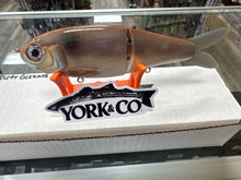 Load image into Gallery viewer, York Co Glide Baits
