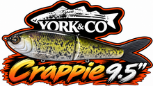 Load image into Gallery viewer, York Co Glide Baits
