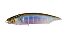 Load image into Gallery viewer, Megabass Karashi 80
