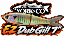 Load image into Gallery viewer, York Co Glide Baits

