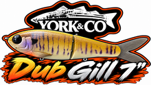 Load image into Gallery viewer, York Co Glide Baits
