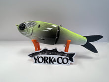 Load image into Gallery viewer, York Co Glide Baits
