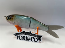 Load image into Gallery viewer, York Co Glide Baits

