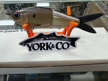 Load image into Gallery viewer, York Co Glide Baits
