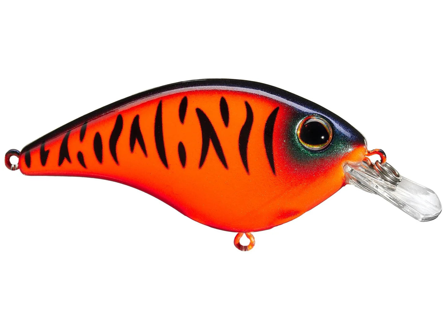 Berkley Clickin' Frittside – Custom Tackle Supply