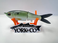 Load image into Gallery viewer, York Co Glide Baits
