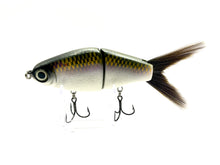 Load image into Gallery viewer, Dynasty Custom Lures OG Dink Shad
