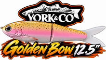 Load image into Gallery viewer, York Co Glide Baits
