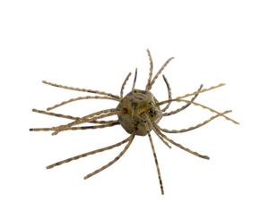 Strike King Tumbleweed Floatin' *New*