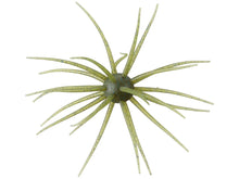 Load image into Gallery viewer, Hideup Coike 17mm Creature Bait
