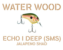 Load image into Gallery viewer, Water Wood Echo 1 Deep (E1D) Crankbait Pro Packaging
