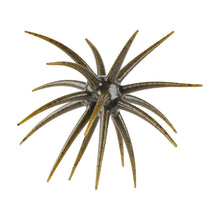 Load image into Gallery viewer, Berkley PowerBait MaxScent 'Moeba Creature Bait
