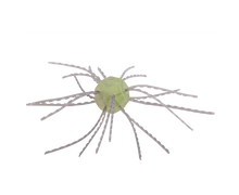 Load image into Gallery viewer, Strike King Tumbleweed Floatin&#39; *New*

