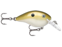 Load image into Gallery viewer, Rapala DT-4 Crankbait
