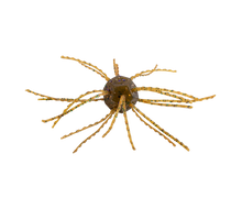 Load image into Gallery viewer, Strike King Tumbleweed Floatin&#39; *New*
