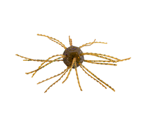 Strike King Tumbleweed Floatin' *New*