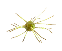Load image into Gallery viewer, Strike King Tumbleweed Floatin&#39; *New*
