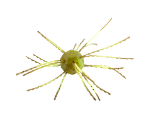Strike King Tumbleweed Floatin' *New*