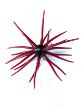 Load image into Gallery viewer, Queen Tackle Porcupine Balls
