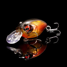 Load image into Gallery viewer, Megabass SR-X Griffon
