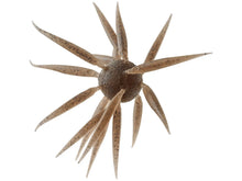 Load image into Gallery viewer, Hideup Coike Fish Elastomer Urchin

