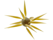 Load image into Gallery viewer, Hideup Coike Fish Elastomer Urchin

