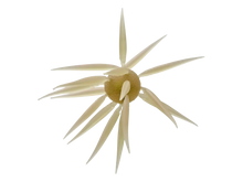 Load image into Gallery viewer, Hideup Coike Fish Elastomer Urchin
