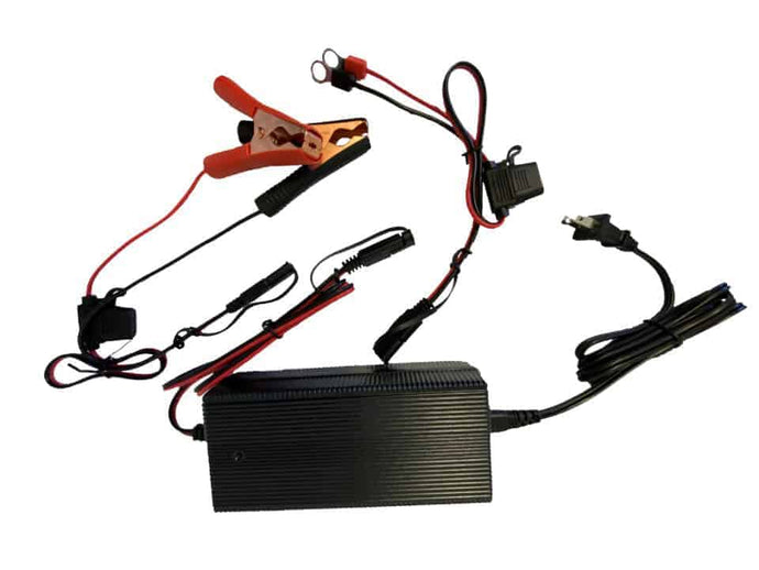 Ionic 12V 10A Charger