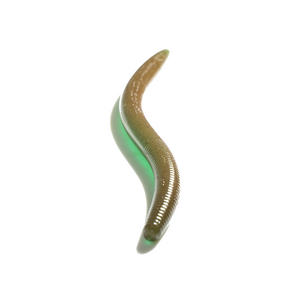 FreshBaitz 5" Worm (5 Pack) - Custom Tackle Supply 